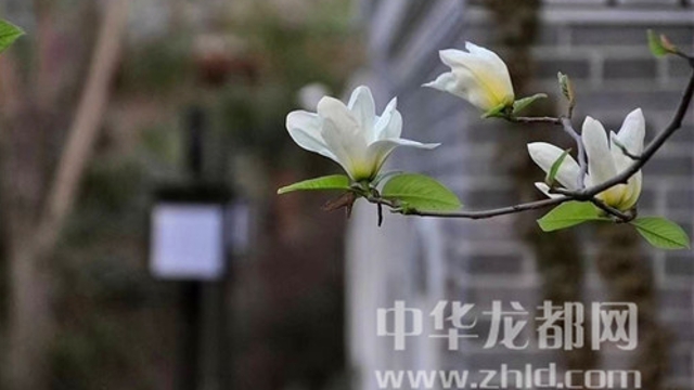 淮陽蓮舍，多了一份味道