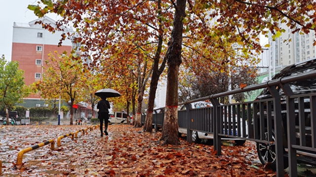 雨中周口，別有一番韻味